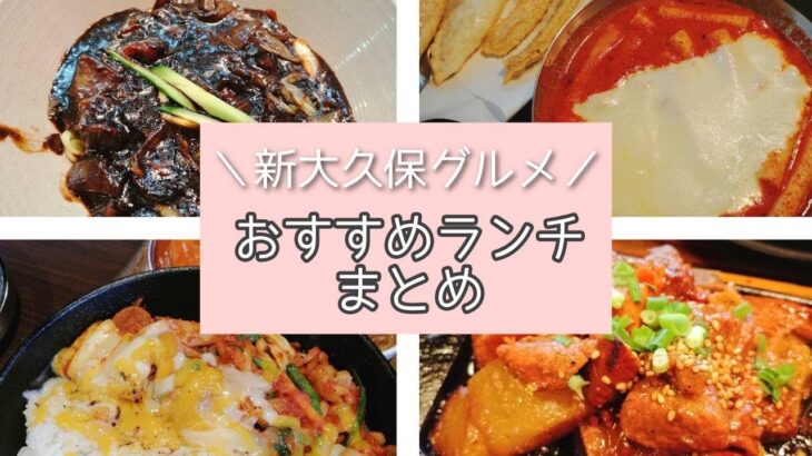 【新大久保グルメ】どれも絶品！おすすめランチ4選★おひとりさまもOK♩