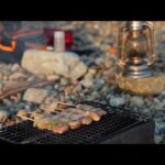 海を眺めながら 焼き鳥とビールでソロキャンプ Solo camp while looking at the sea