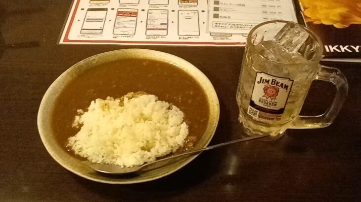 【一人飲み】居酒屋一休の特製カレーが安くて美味しかった件について