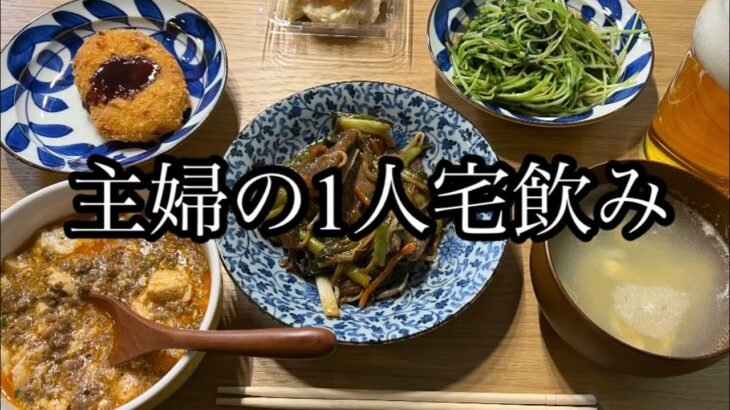 【一人ご飯】主婦の宅飲み