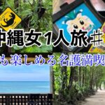 【まるで1人とは思えない一人旅】恐竜好き必見！1人でも大丈夫！名護完全満喫コース/DINO恐竜PARKやんばる亜熱帯の森/パイナップルパーク/カフェ/備瀬の並木道/On the Beach CAFE