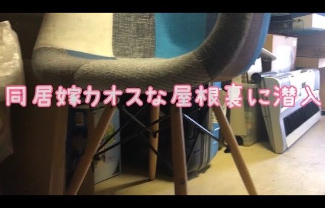 同居嫁カオスな屋根裏に潜入〜⭐︎からのおひとりさま休日Vlog⭐︎〜#二世帯同居 #二世帯住宅 #同居嫁 #嫁姑問題