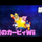 【星のカービィWii】カービィにハマってる男の一人旅part5