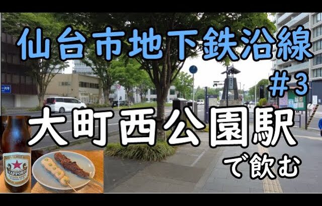 仙台市地下鉄沿線飲み【大町西公園駅】焼鳥日本酒飲みからの仙台名物冷やし中華締め