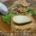 冷えた身体への優しいランチ｜ソロ活｜おひとり様｜福岡｜博多