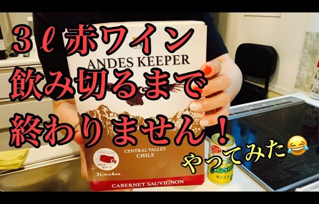 【3ℓワイン】一人で調子こいて3ℓ飲めるかやってみた【アル中の日常】