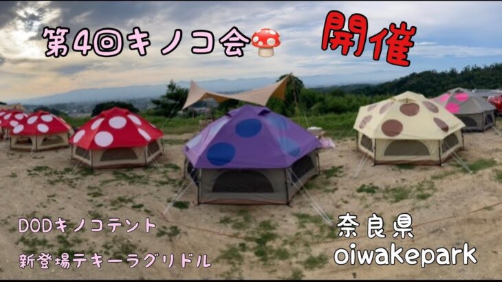 【50代からのソロキャンプ】OIWAKE PARKキャンプ場 第4回キノコ会開催