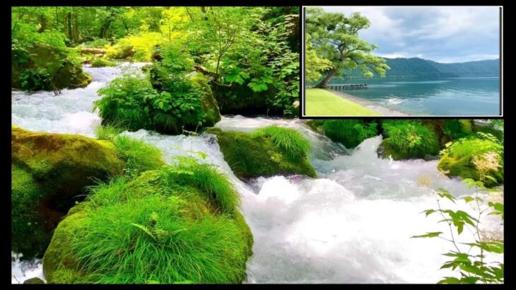 気まぐれ女の一人旅　死ぬまでに絶対見たい絶景➖新緑の奥入瀬渓流 & 十和田湖　Superb view- Oirase stream in the fresh green & Lake Towada