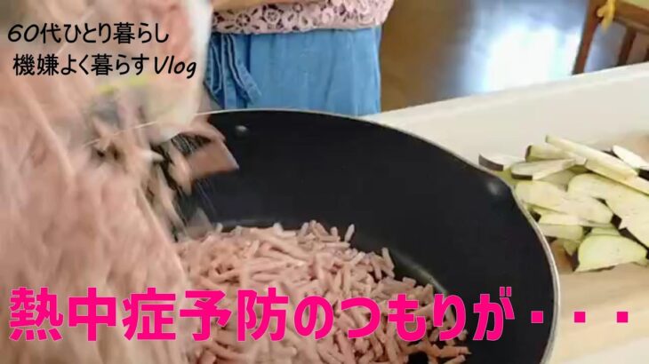 【アラ還ひとり暮らし】早くも夏バテで胃腸絶不調でも食べることを止めない日常/超簡単オイキムチ/長いも春巻き/トウモロコシチジミ/スタミナ肉みそ丼