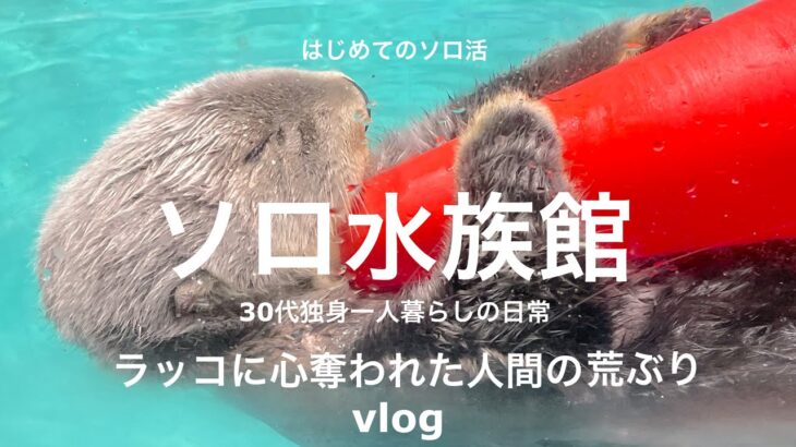 30代独身一人暮らしの日常｜納車｜焼肉｜ソロ活｜一人で水族館に行きました