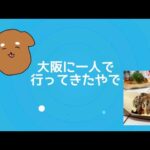 【アラサー】大阪推し活一人旅Vlog【女オタク】