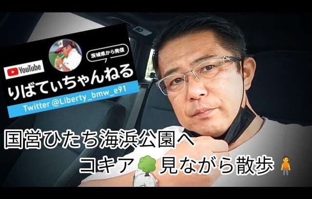 【国営ひたち海浜公園】コキア🌳見ながら…一人散歩🕺 #コキア #国営ひたち海浜公園 #ひたち海浜公園 #散歩 #散歩好き #茨城 #ひたちなか市 #公園