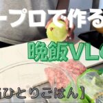 【晩飯vlog】ひとりごはん/フードプロセッサー/フープロ/適当ご飯/簡単/ご飯/記録