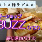 【高知県四万十市】バーガーショップ「BUZZ（バズ）」vlog