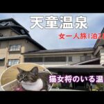 【女一人温泉旅】猫女将のいる宿/天童温泉あずま荘～夜の温泉街も一人呑み～