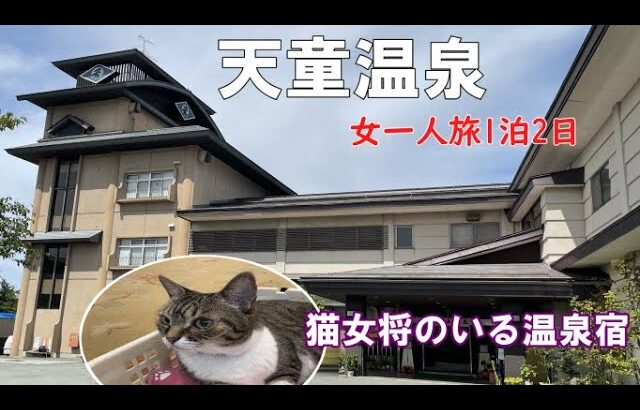 【女一人温泉旅】猫女将のいる宿/天童温泉あずま荘～夜の温泉街も一人呑み～