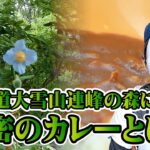 【男一人旅＃】大雪山連峰の花園でまさかのカレーが!?