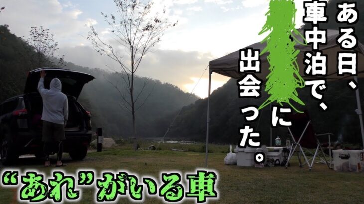 【実話】完ソロの車中泊で迫り来る“あれ”の恐怖に震えるソロキャンプ【それがいる森より100倍怖い】【イサキ】【コイ】【アユ】【日本酒】【鮎の里公園キャンプ場】