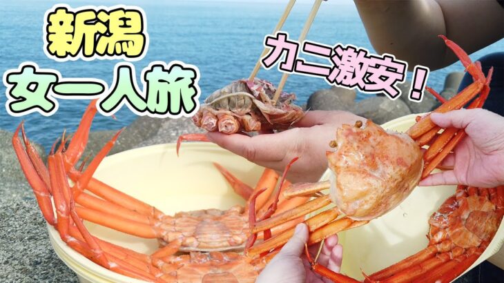 【新潟旅行】女一人旅！カニが2杯で1100円？！マリンドーム能生が凄かった！！