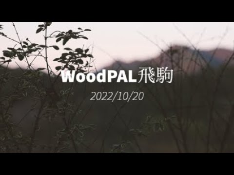 WoodPAL飛駒オートキャンプ場でソロキャンプ