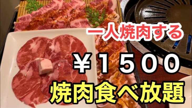 【激安】焼肉食べ放題