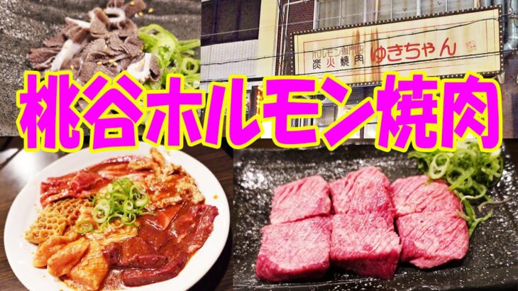 桃谷駅前の隠れ家【一人焼肉】厚切り牛タンとホルモン8種盛で１人焼肉の肉食晩酌やってみた！​​​​​​≪肉≫≪焼肉≫ゆきちゃん