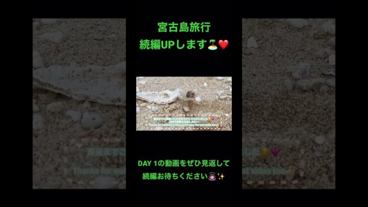 【宮古島】女ひとり旅DAY2  🌺✨予告編