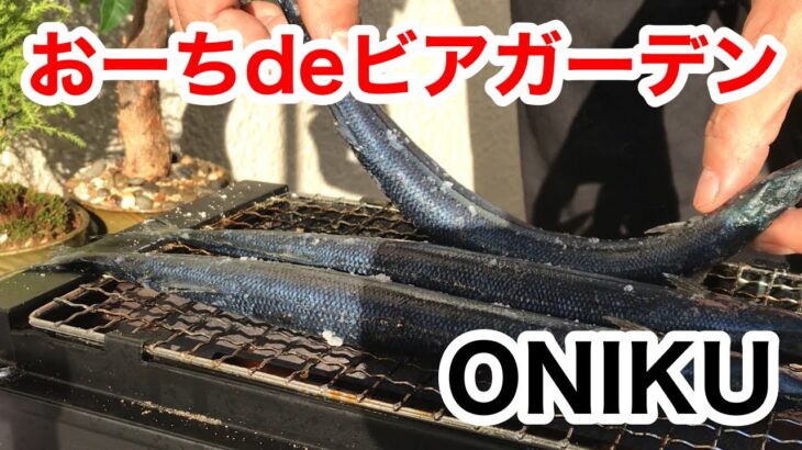 【ソロキャンプ】おーちdeビアガーデン🍺さんま🐟をビール🍺でしばいてみた