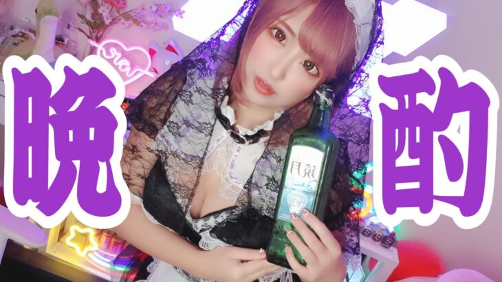 【晩酌】ハロウィンぼっちだし一緒に飲みまくろ！!【一人飲み】【コスプレ】