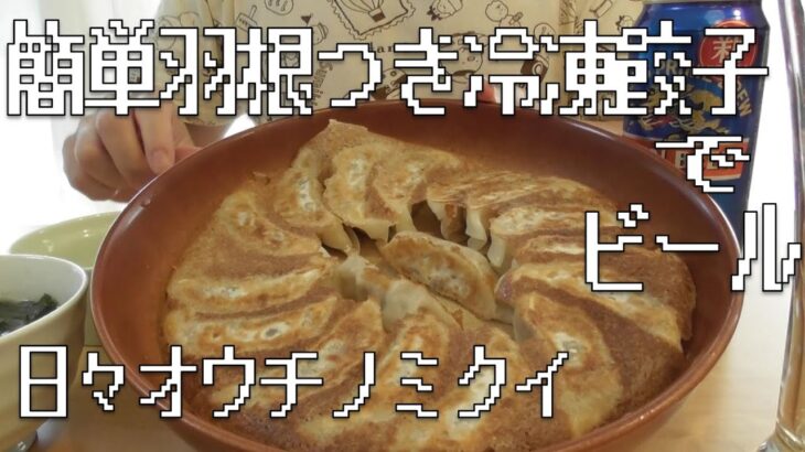 【家飲み】【おつまみ】簡単冷凍羽根つき餃子でビールを飲む男【餃子】【日々オウチノミクイ】