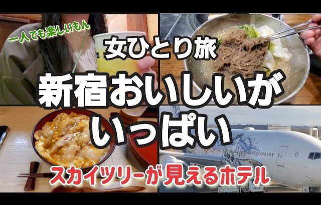 女ひとり旅【ホテルイースト21東京】新宿新大久保食べ歩きと美味しい親子丼