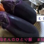 【母さんのひとり飯 #56】反応がイマイチな猫とシチュー