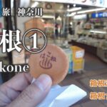 【男ひとり旅 | 箱根①】強風でロープウェイと海賊船が運行停止！？ | solo trip to Hakone Onsen Day-1