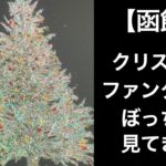 【男ひとり旅】函館クリスマスファンタジーでぼっちでツリーと花火見てきた【花火】