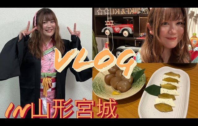 【Vlog】「山形仙台遠征へ！人生初のコスプレと史跡一人散歩の旅」