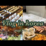 【韓国Vlog】韓国一人旅🇰🇷🕊/1人焼肉/眉毛アート/明洞/南大門/cafe onion/飛行機乗り遅れ✈️