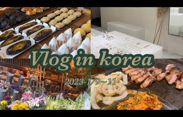 【韓国Vlog】韓国一人旅🇰🇷🕊/1人焼肉/眉毛アート/明洞/南大門/cafe onion/飛行機乗り遅れ✈️