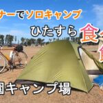 冬の強風の中【渚園キャンプ場】で自転車ソロキャンプ