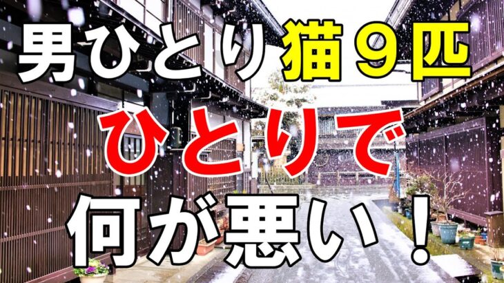 【生涯独身】孤独な男　おみくじを引いたら恋愛はあきらめなさい！と言われた【シニア一人旅】