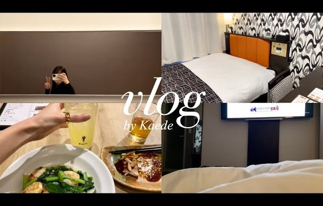 vlog) 1人ホテルステイ🛌|残業に疲れた社会人の休日🥱|1人飲み🍺銭湯♨️|ソロ活|アパホテル