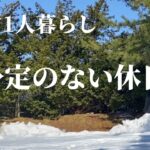 【50代1人暮らし】天気がいいので長距離散歩｜神社で癒された日