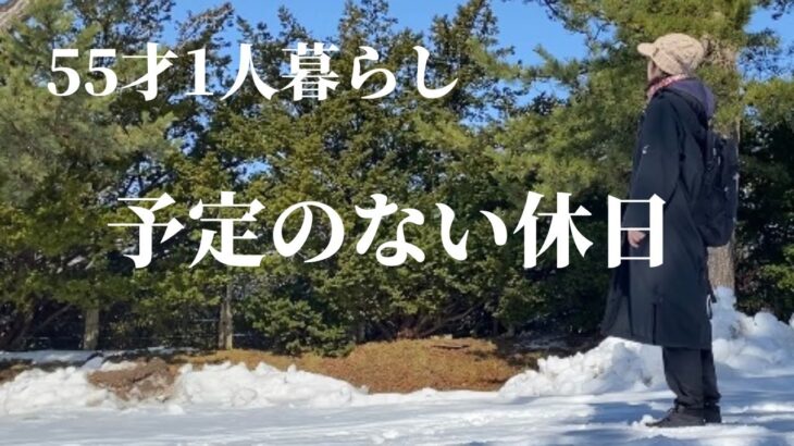 【50代1人暮らし】天気がいいので長距離散歩｜神社で癒された日