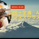 四十路女一人旅！ソウルVLOG　ANAビジネスクラスでソウルに行ってきました！