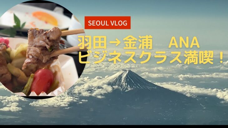 四十路女一人旅！ソウルVLOG　ANAビジネスクラスでソウルに行ってきました！