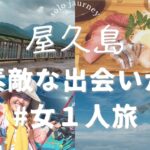 【女一人旅】屋久島で素敵な出会いがありました！ウミガメも出てくるよ♬