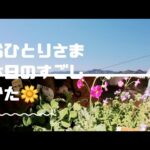 【大好きなことを楽しむ】おひとりさまの休日 ガーデニング🌼 小僧寿し🍣