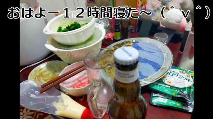 無職　メンヘラ独身女性の一人飲み　　22時起床　これから朝ご飯？w