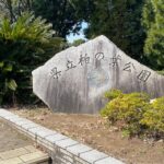 雑談ライブ県立柏の葉公園【TATSUYA T. 一人旅が好きな謎の男】