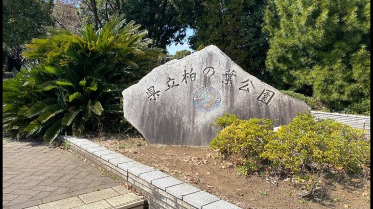 雑談ライブ県立柏の葉公園【TATSUYA T. 一人旅が好きな謎の男】