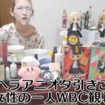 無職　メンヘラ独身女性  WBC観戦一人飲み